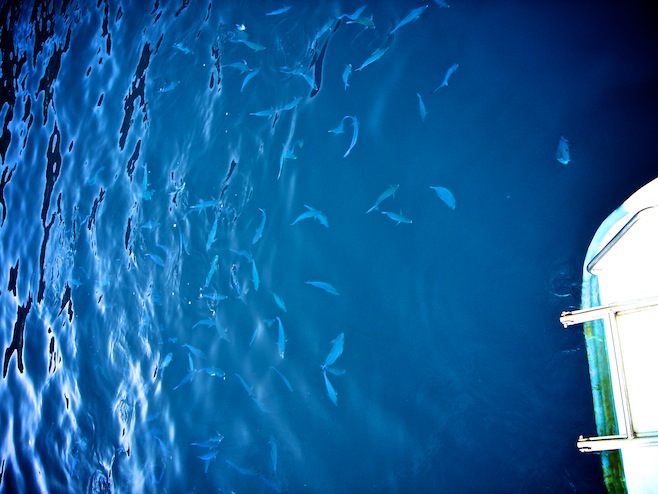 Thai Similan Islands2